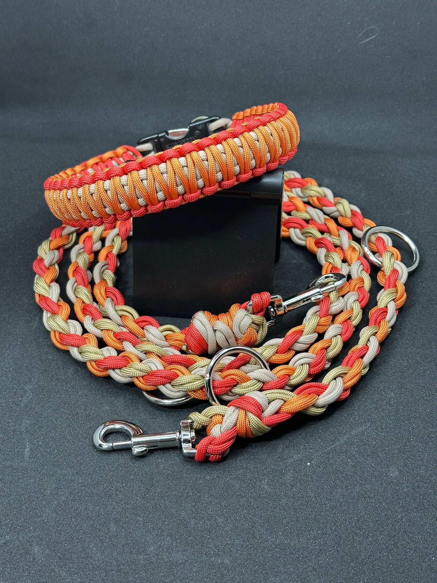 Set - Leine & Halsband - Herbst