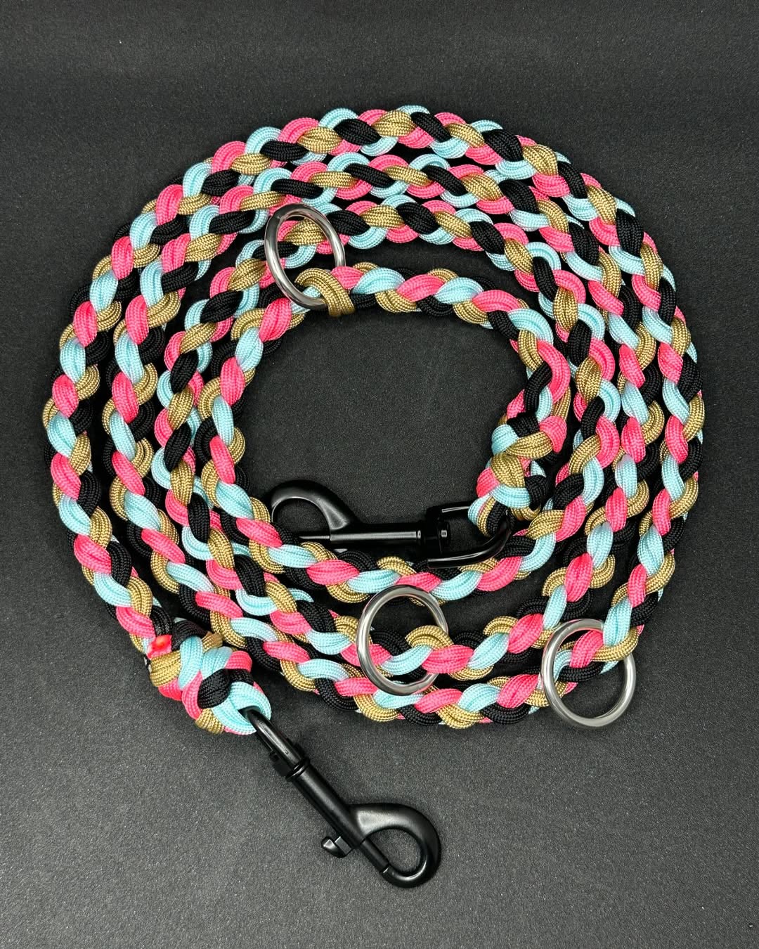 Set - Leine & Halsband - Candy Twist