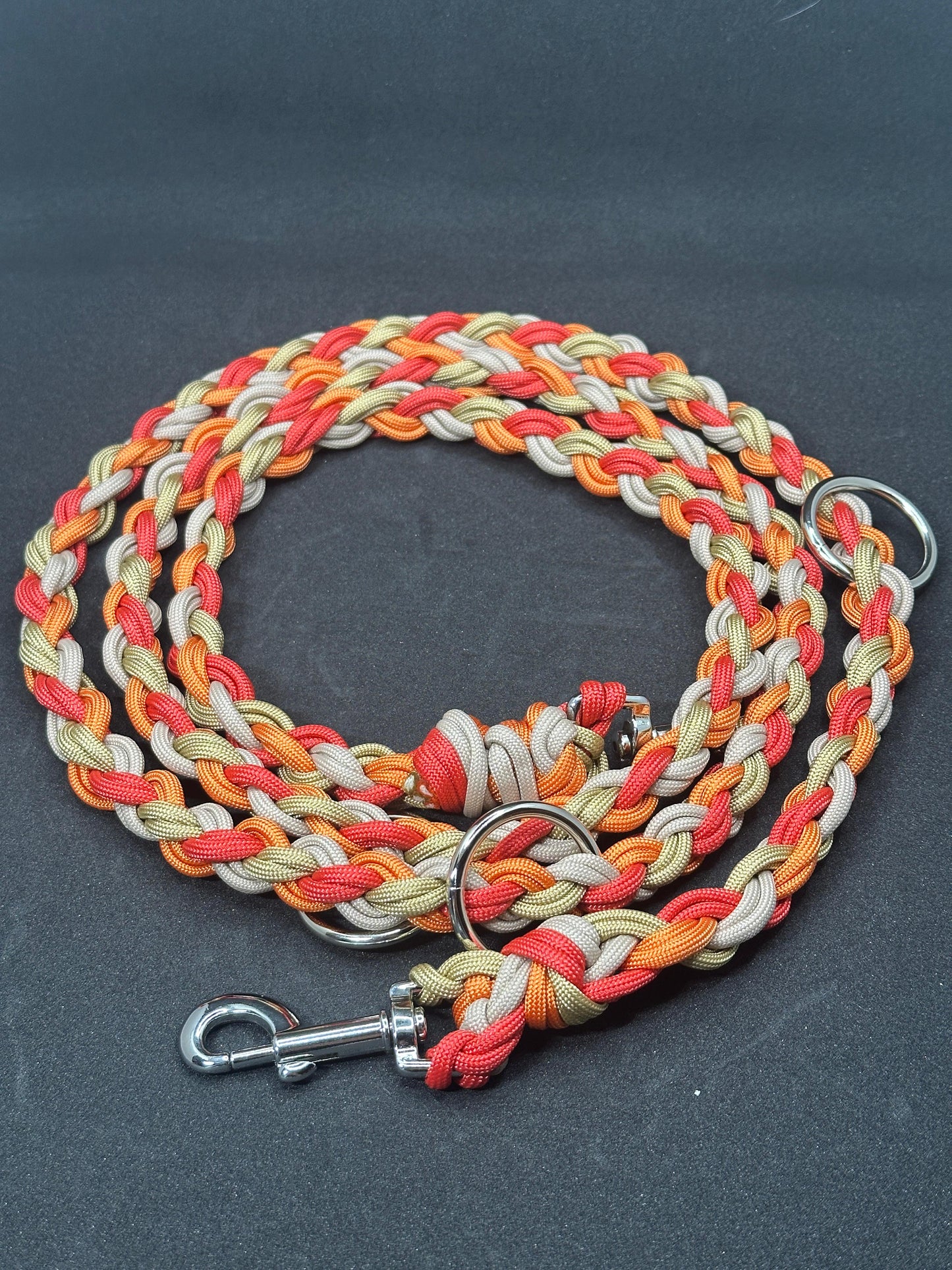 Set - Leine & Halsband - Herbst