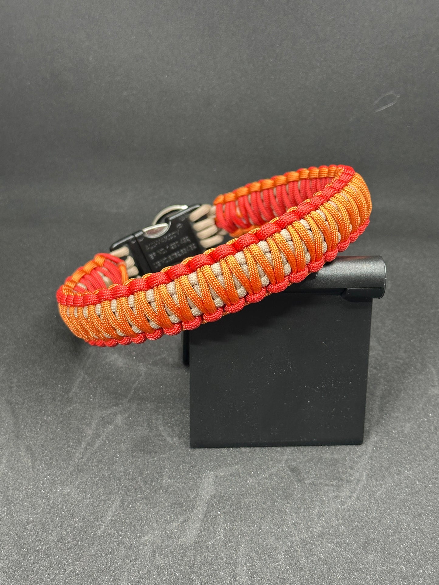 Set - Leine & Halsband - Herbst